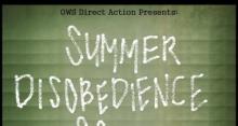 Summer Disobedience School