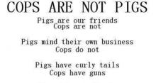 Pigs are smarter and nicer