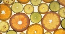 citrus slices