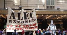 expose alec banner