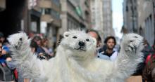 Flood Wall Street Polar Bear