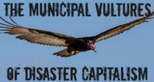 Photo of a vulture with text that reads, "The municipal vultures of distaster capitalism"