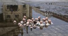 Politicians discuss global warming