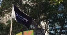 Occupy flag