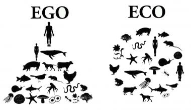 Ecosystem, not Egosystem