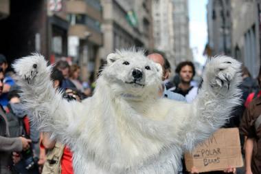 Flood Wall Street Polar Bear