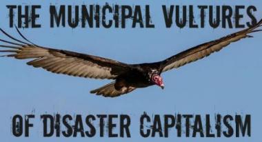 Photo of a vulture with text that reads, "The municipal vultures of distaster capitalism"