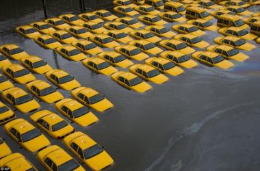 Taxis underwater in New Jersey after Hurrican Sandy